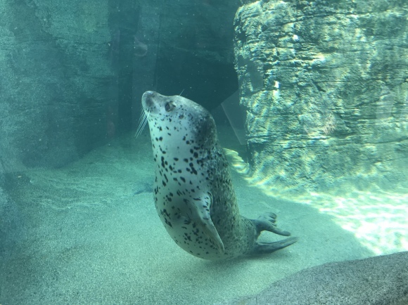b0199097_12562078.jpeg
