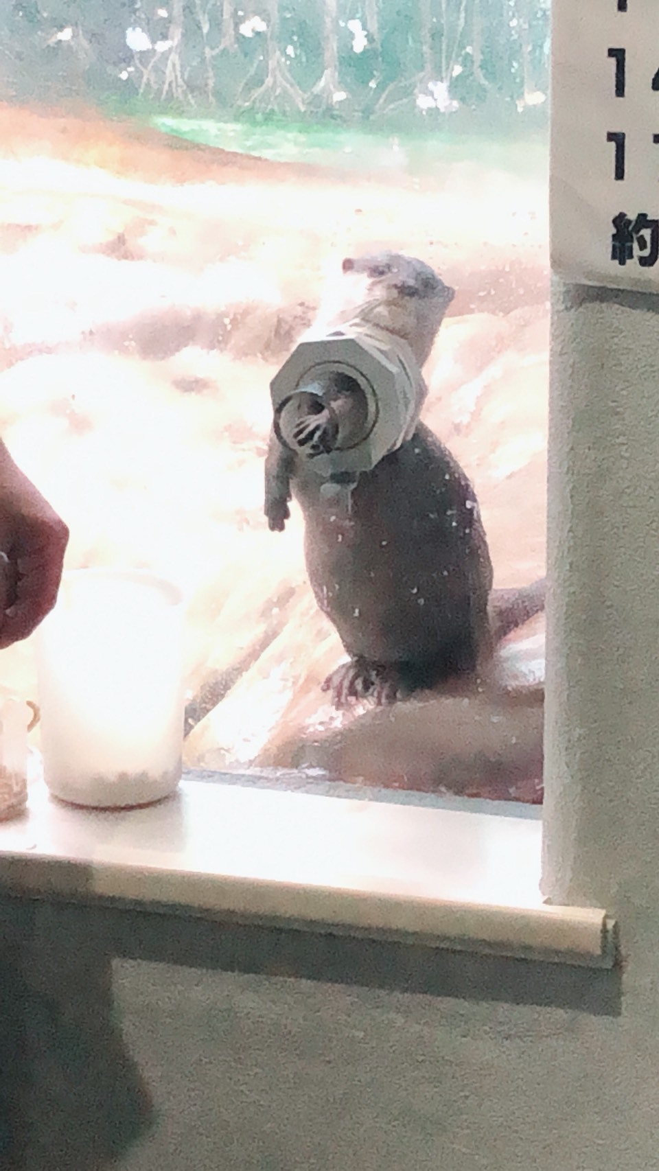 d0338199_15494343.jpeg