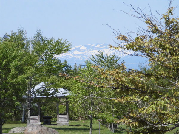 f0334599_10095964.jpg