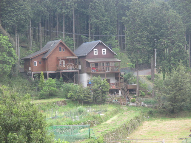 d0240201_17061824.jpg