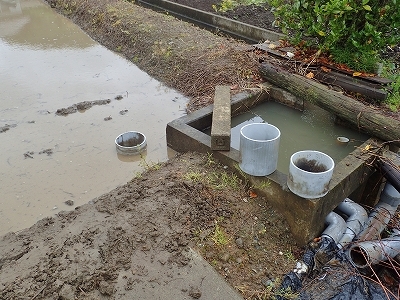 c0336902_20230144.jpg