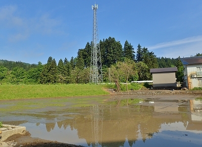 c0336902_21292214.jpg