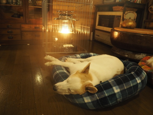 d0179410_00423106.jpeg