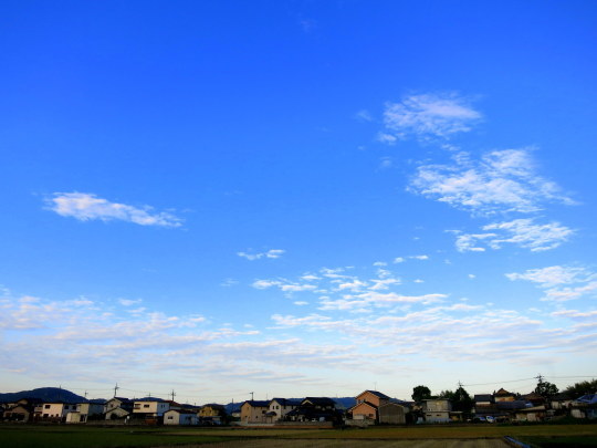 a0158613_21233188.jpg