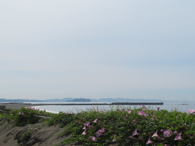 d0351213_17495725.jpg