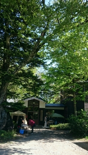f0260414_00180282.jpg