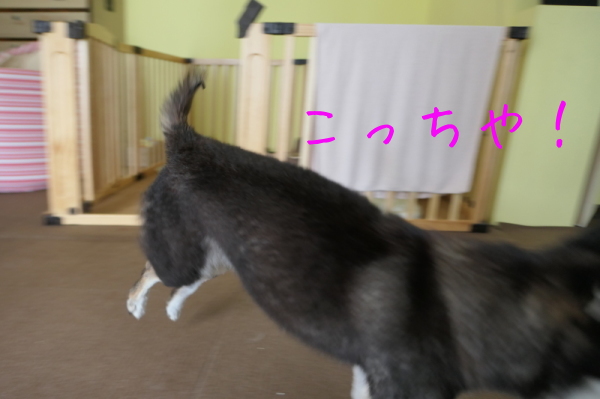 f0369014_14301090.jpg
