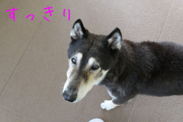 f0369014_14315975.jpg