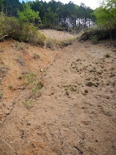 c0359615_22124555.jpg
