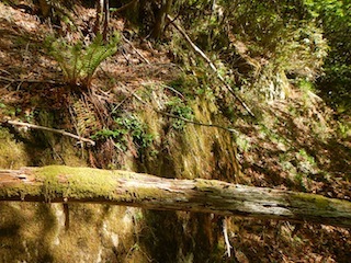 爽やかな五月晴れの薮漕ぎ登山…恵那山・黒沢（点名）_c0359615_22124635.jpg