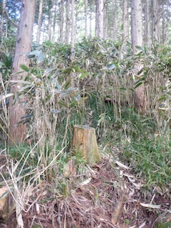 c0359615_22124697.jpg
