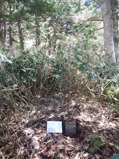 爽やかな五月晴れの薮漕ぎ登山…恵那山・黒沢（点名）_c0359615_22143612.jpg