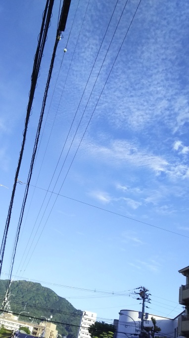 e0094315_12584432.jpg