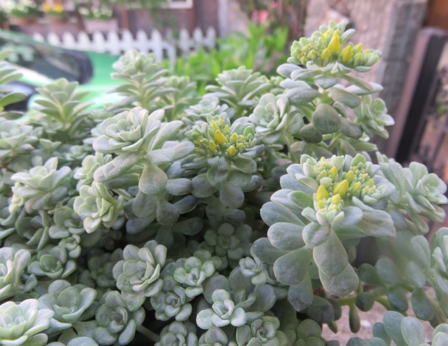 b0344816_21181458.jpeg