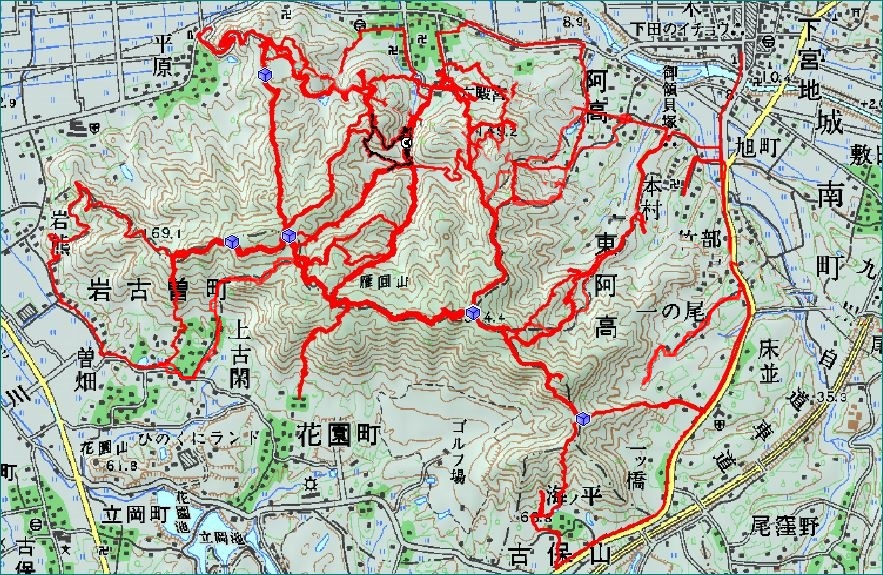 f0193521_5351764.jpg