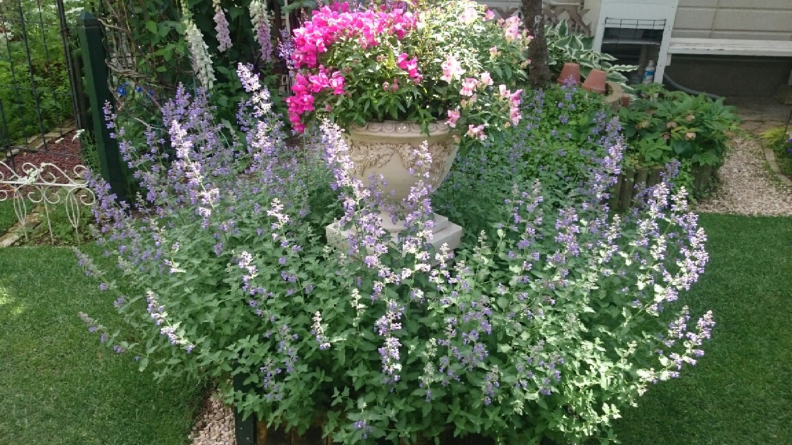 e0263224_00174338.jpg
