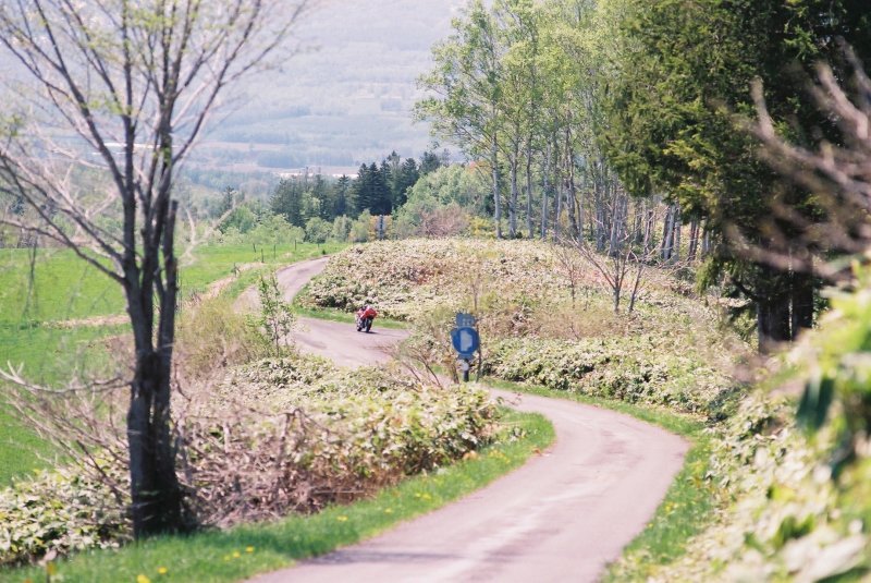 f0362725_16243658.jpg
