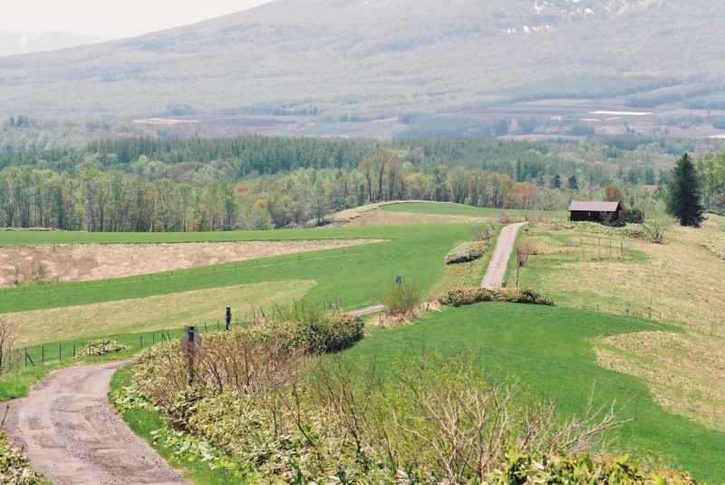 f0362725_16272292.jpg