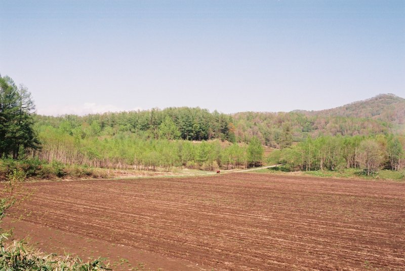 f0362725_16472116.jpg