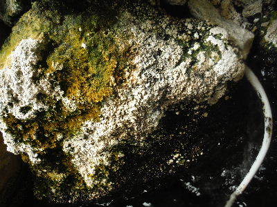 c0193627_21471464.jpg
