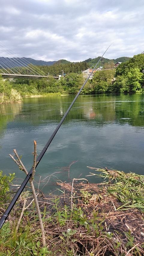 a0074232_16584611.jpg