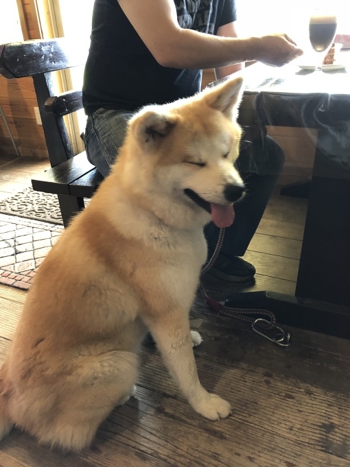 b0369239_11113216.jpeg