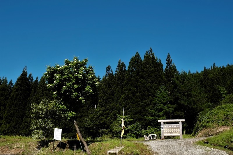 d0347140_10334414.jpg