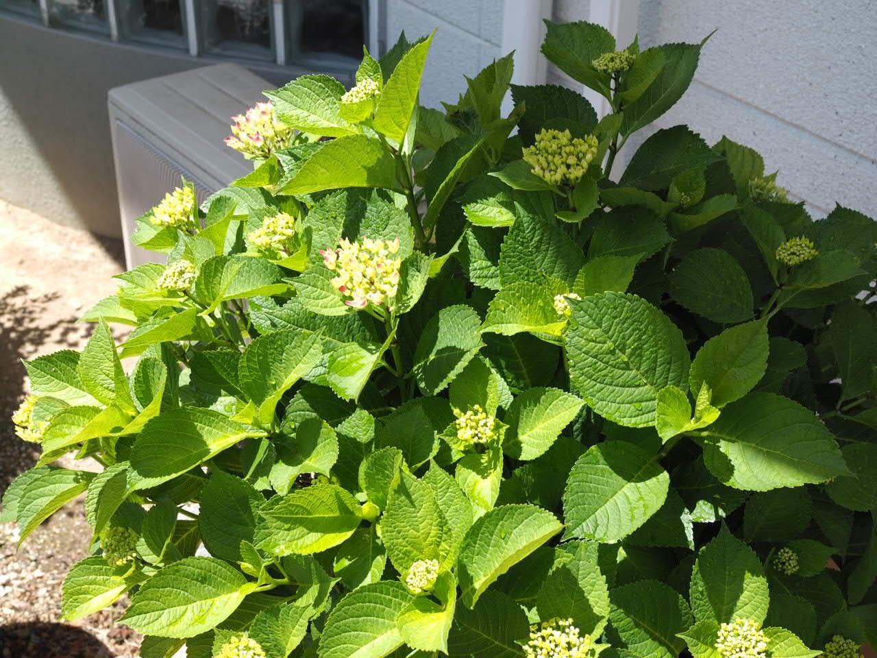 f0135940_17275572.jpeg