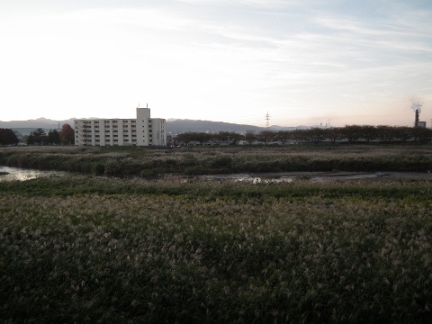 d0358843_02051292.jpg