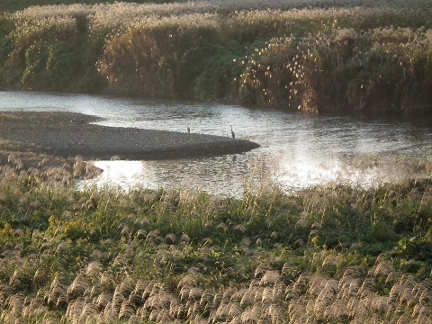d0358843_02051458.jpg
