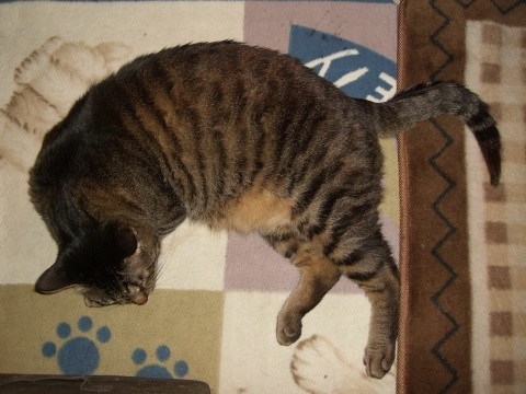 d0358843_15492024.jpg