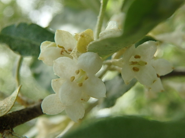 f0334143_814150.jpg