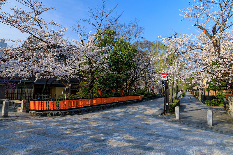 桜咲く京都2018　祇園白川・桜散歩_f0155048_07334.jpg