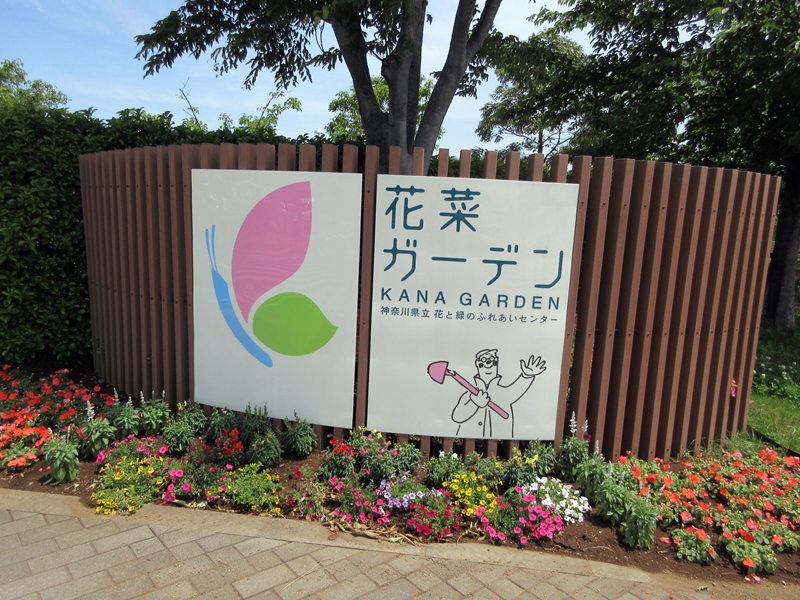b0009849_1657997.jpg