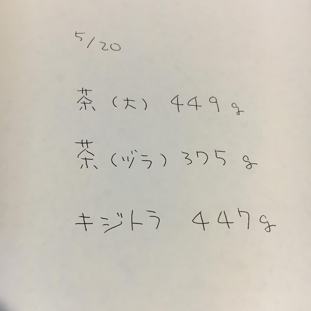 仔猫の季節_a0028451_02173410.jpg
