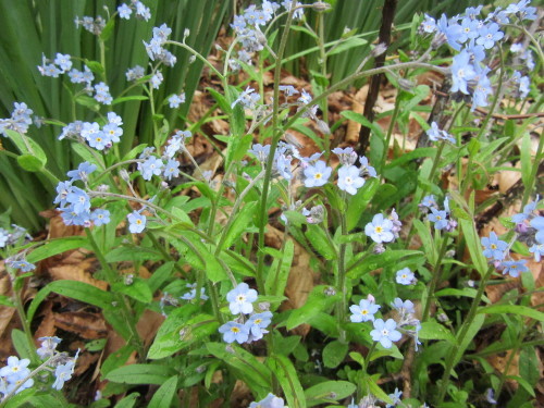 b0247153_04062760.jpg