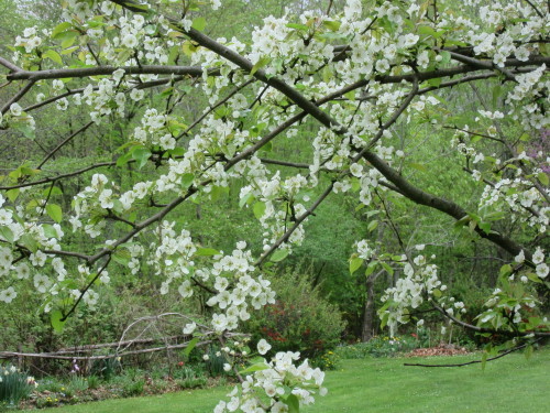 b0247153_04294798.jpg