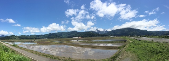 a0346455_06071080.jpeg