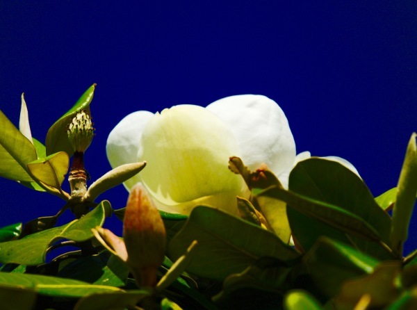a0248459_14413951.jpg