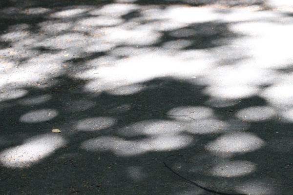 a0248459_14422087.jpg