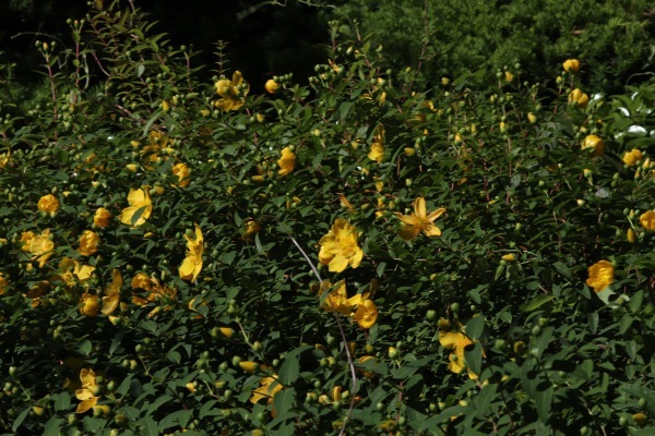 a0248459_14445013.jpg