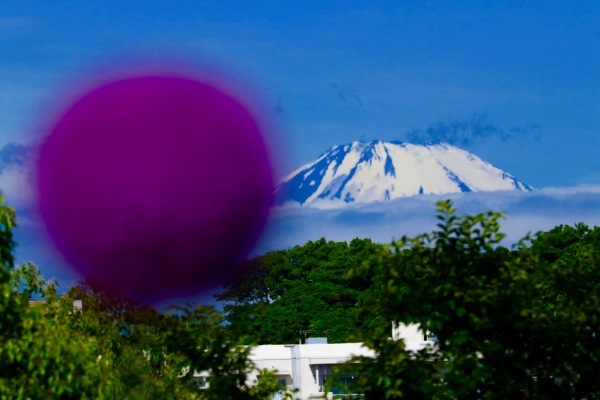 a0248459_14474220.jpg