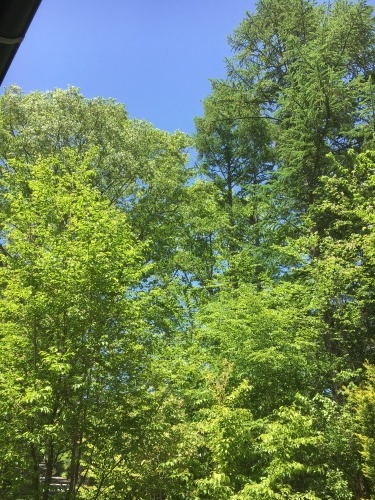 e0325660_21045110.jpeg