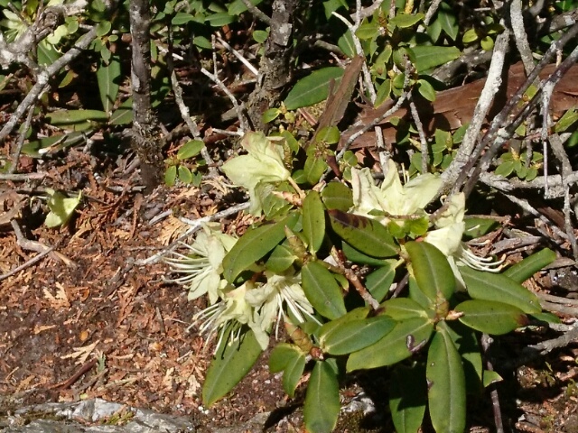 c0260463_04371323.jpg