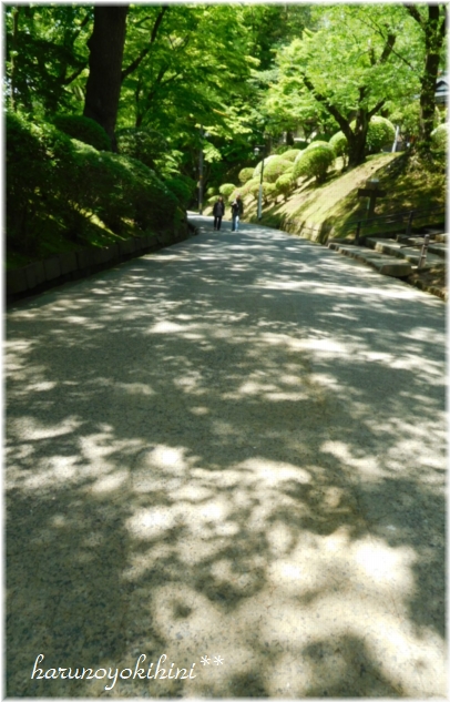 d0337265_1603549.jpg