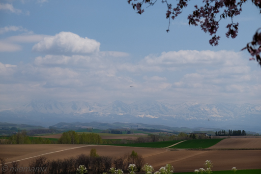 d0340565_20143905.jpg