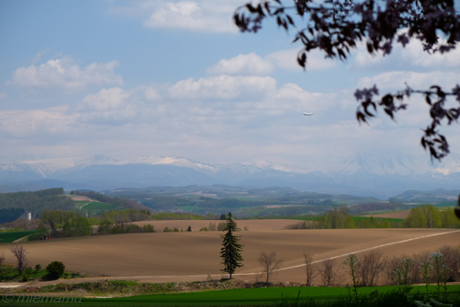 d0340565_20144990.jpg