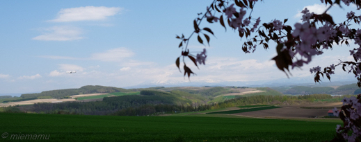 d0340565_20154088.jpg