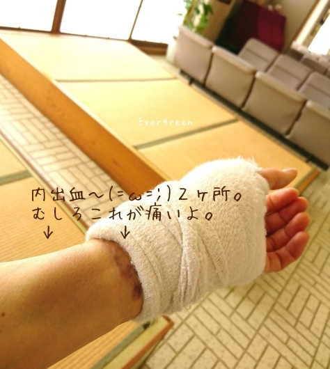 d0362666_15402379.jpg