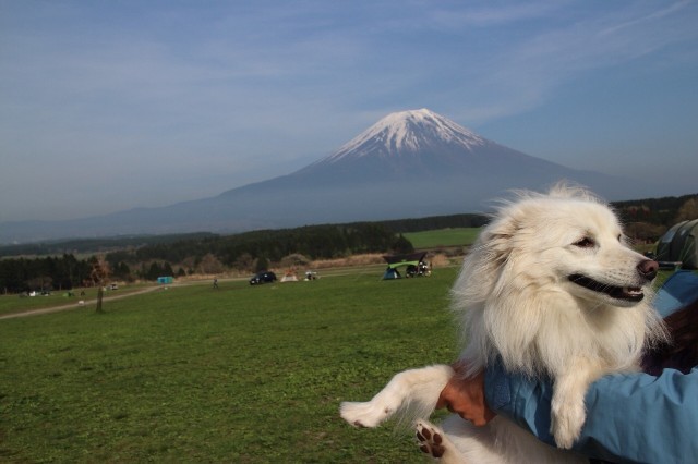 リリちゃんと富士山&#128507;_d0183577_18212751.jpg